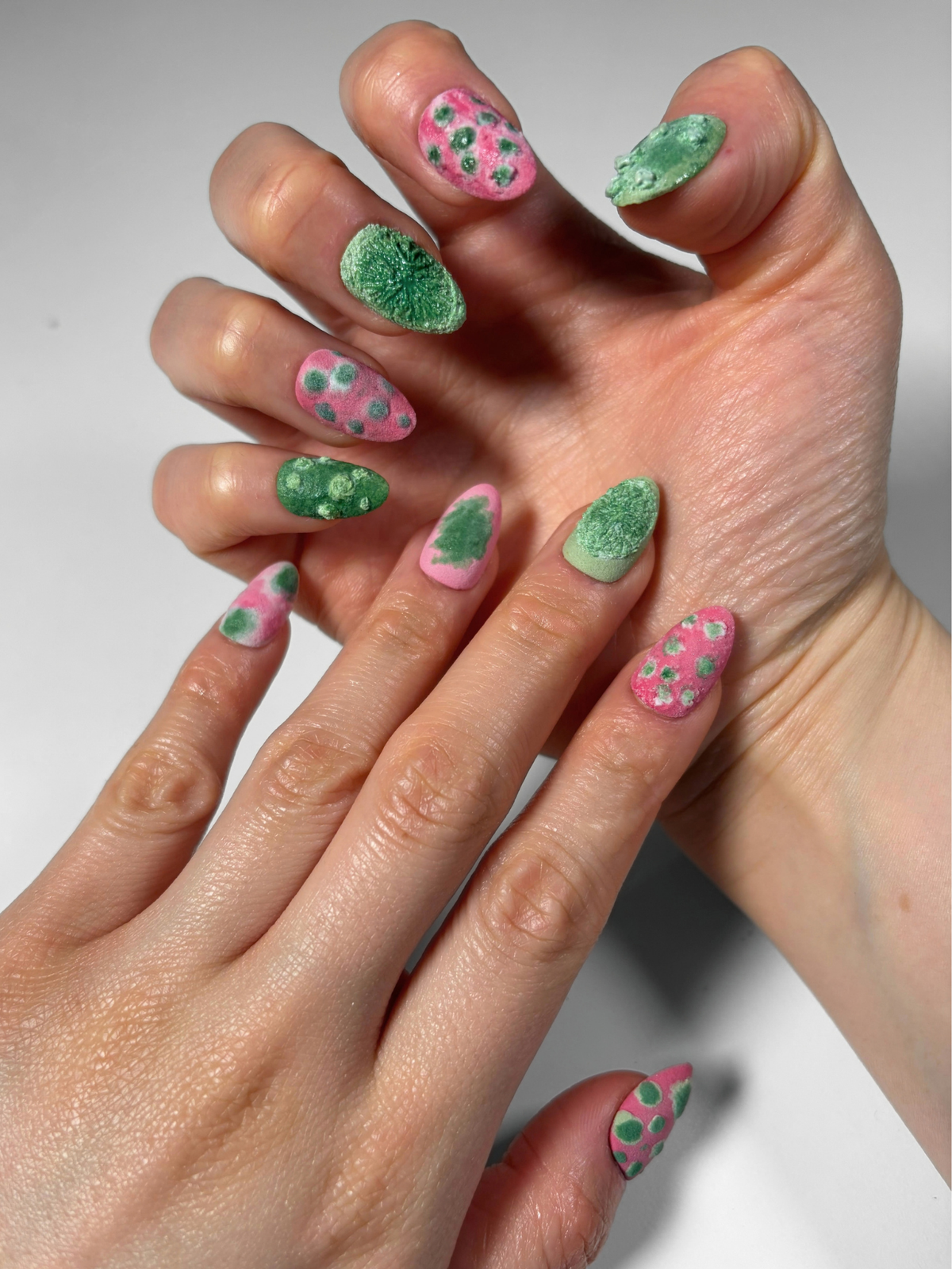 Bubblegum Fungus